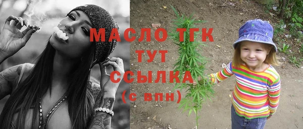 тгк Абаза